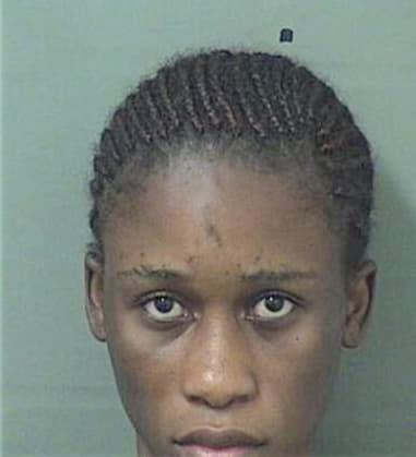 Nerlande Pierre, - Palm Beach County, FL 